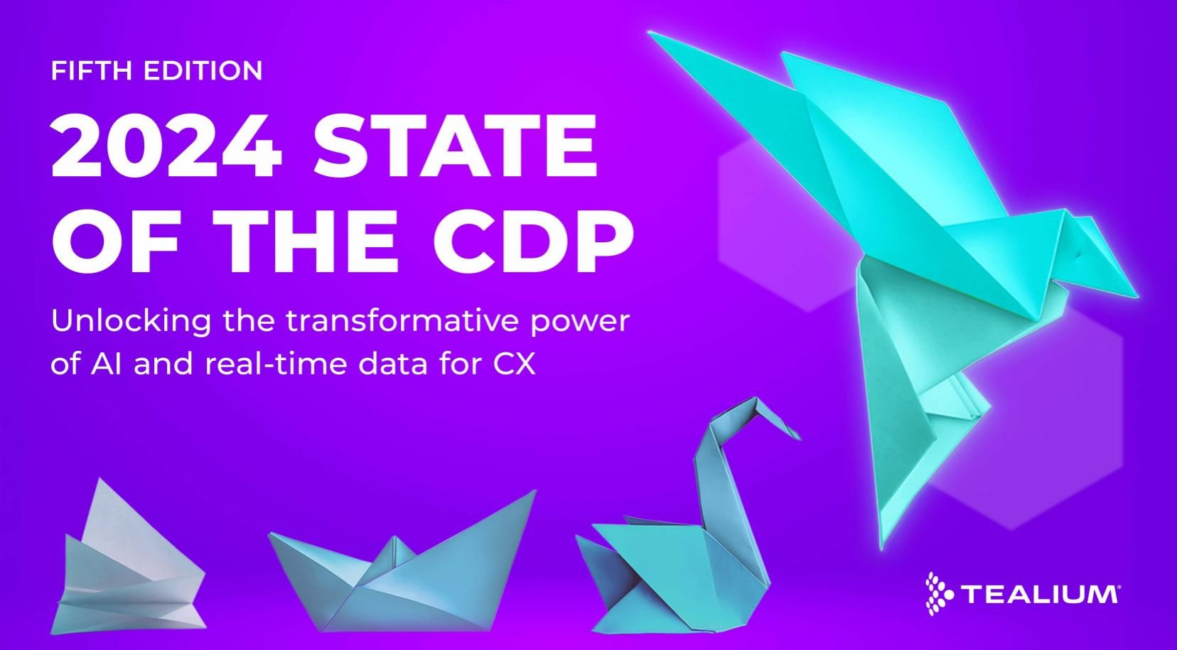 2024 state of the cdp