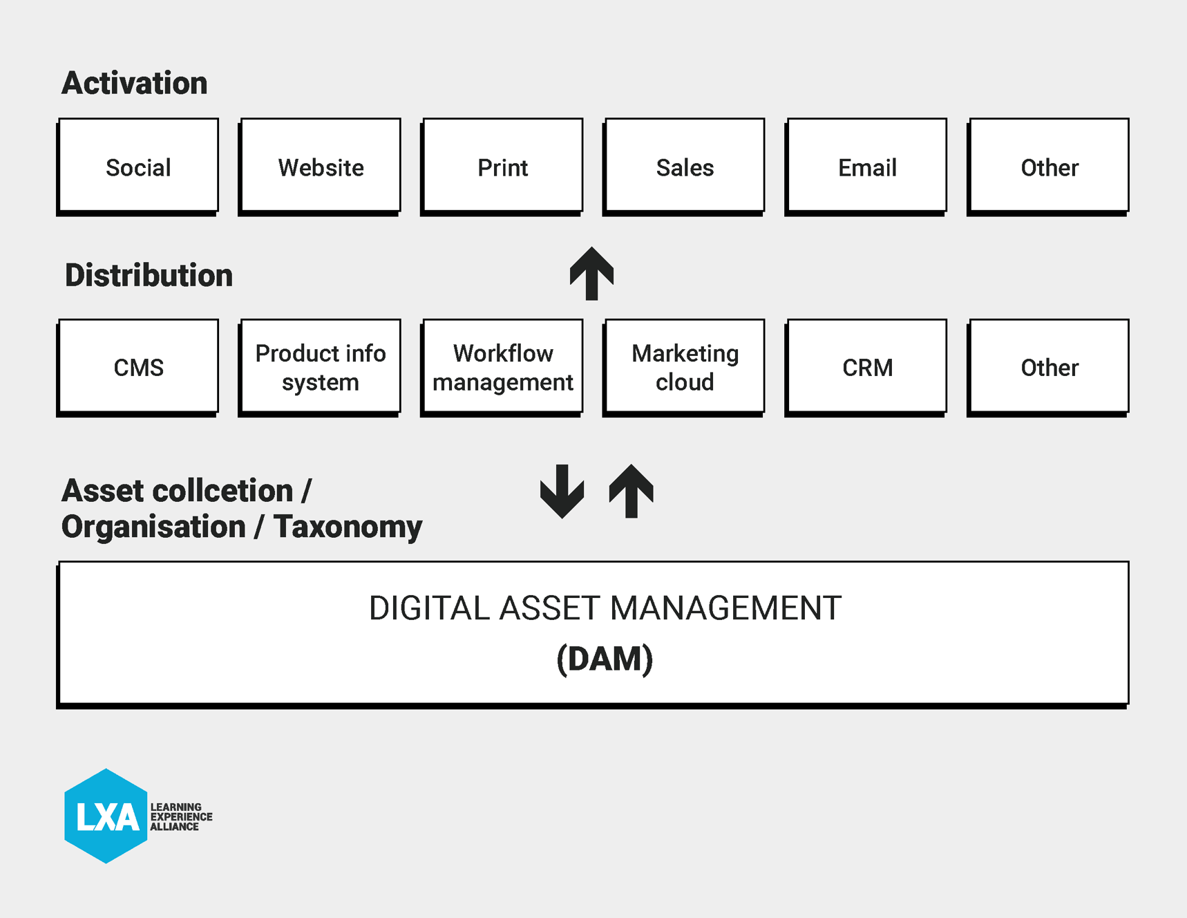 DAM-final-images-02