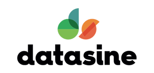 Datasine logo